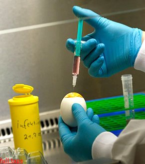 Какие схемы лечения гриппа A/H1N1 рекомендует россиянам Министерство здравоохранения Российской Федерации Какие схемы лечения гриппа A/H1N1 рекомендует россиянам Министерство здравоохранения Российской Федерации