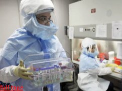 Во Львовской области подтверждены 8 смертей от «свиного гриппа» Во Львовской области подтверждены 8 смертей от «свиного гриппа»